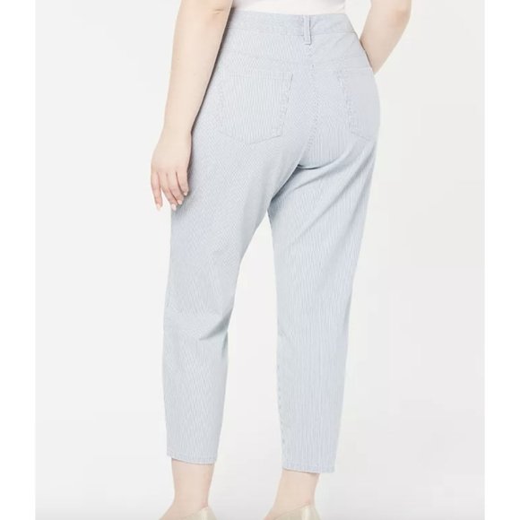 Charter Club Plus Size Railroad-Striped Skinny Ankle Jeans Sz 12 - Picture 4 of 8